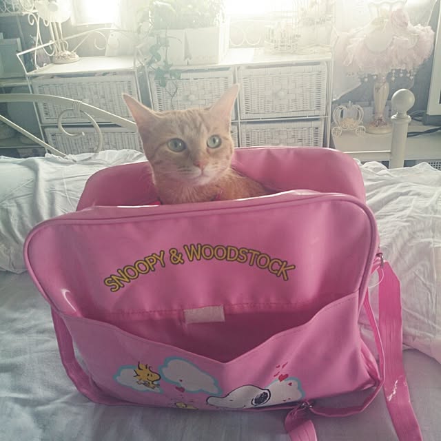 fu-ka24さんの実例写真