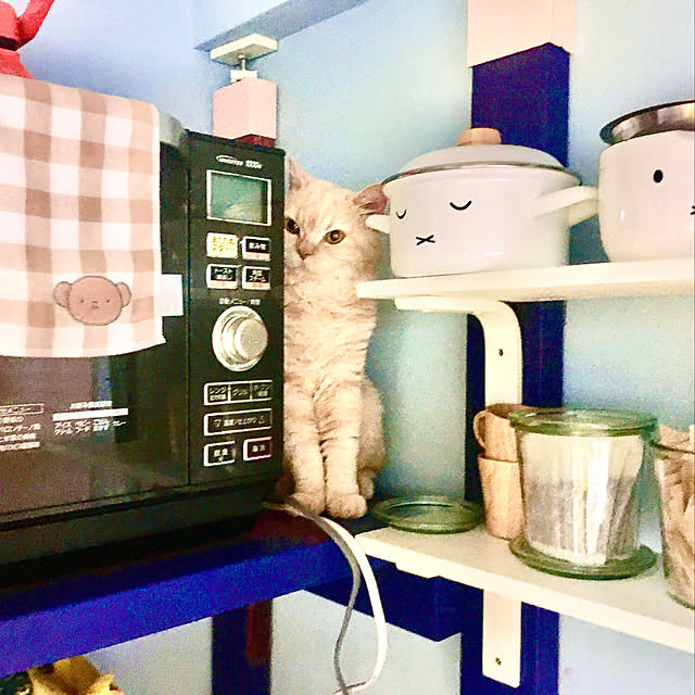 naokoさんの実例写真