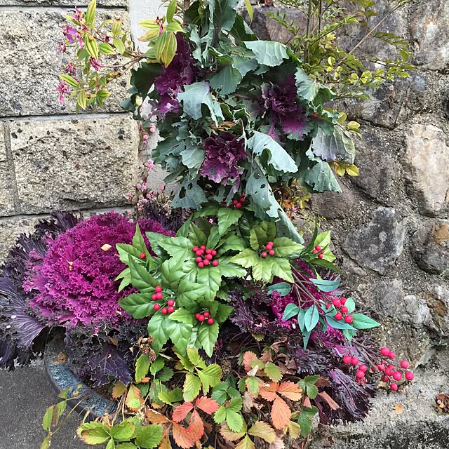 moririnさんの実例写真