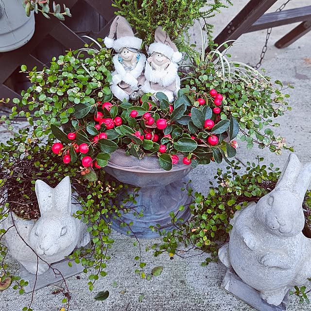 mocomocoさんの部屋