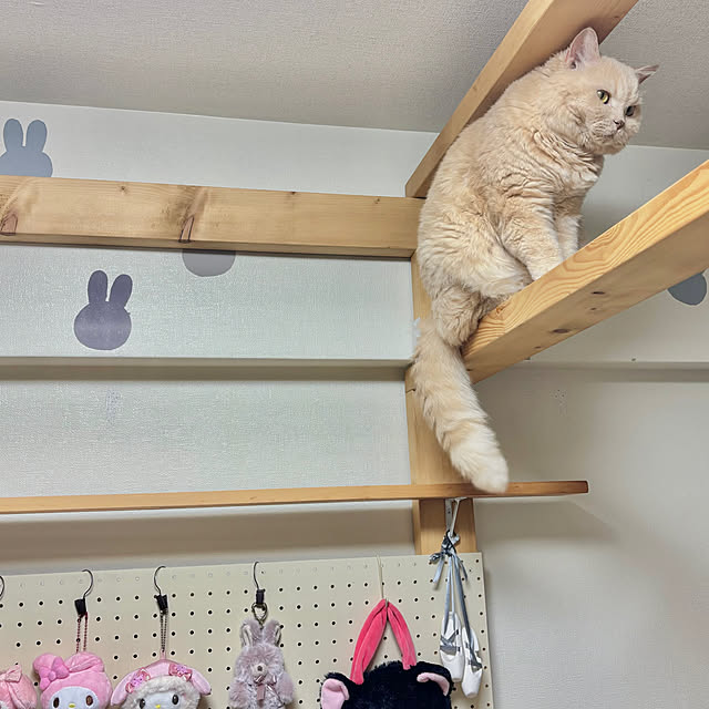 naokoさんの部屋