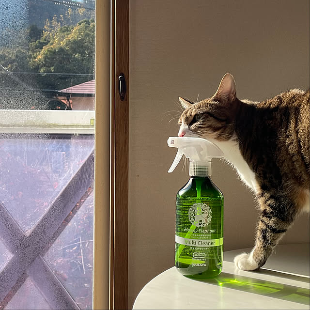 nobikoさんの部屋