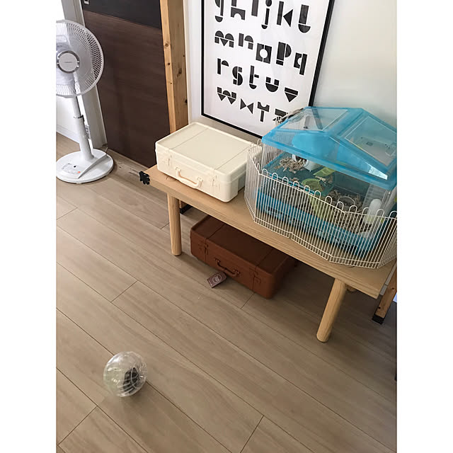 forさんの実例写真