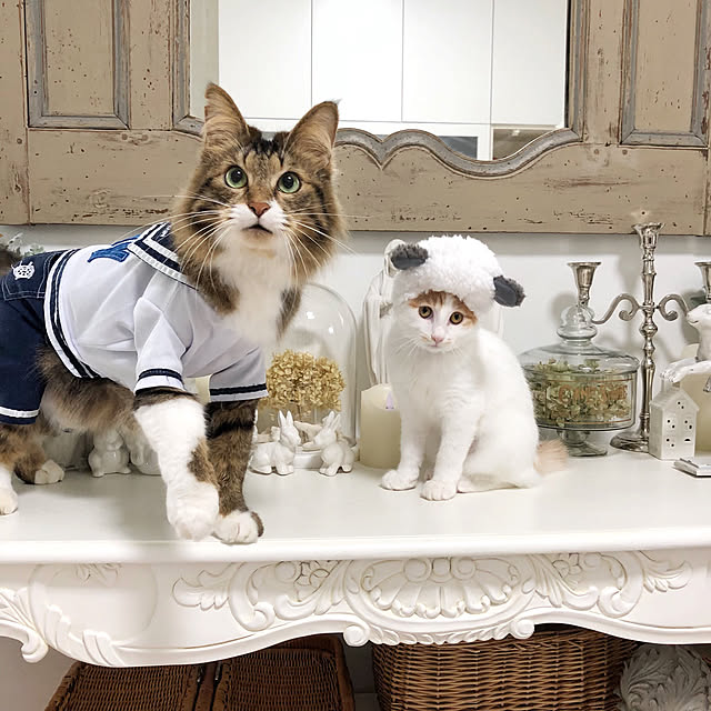 yuchiさんの実例写真