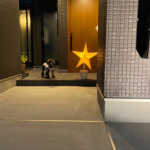 コンクリート強化剤/照明/玄関/入り口/IKEA/北欧...などのインテリア実例 - 2021-10-08 21:44:06
