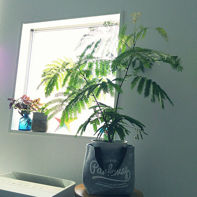 colonさんの実例写真