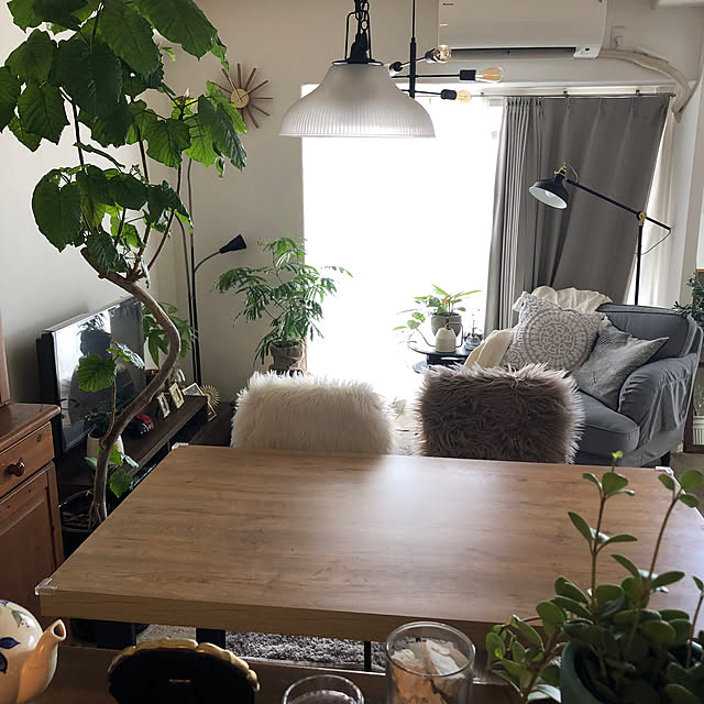 pu-nyu-pu-nyuさんの部屋