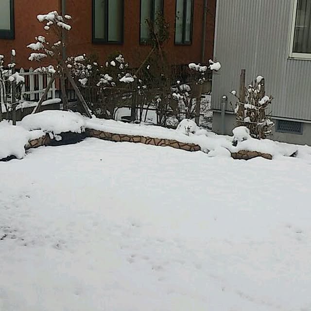 oliveさんの実例写真