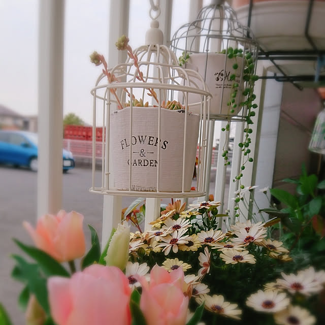 naopyiさんの実例写真