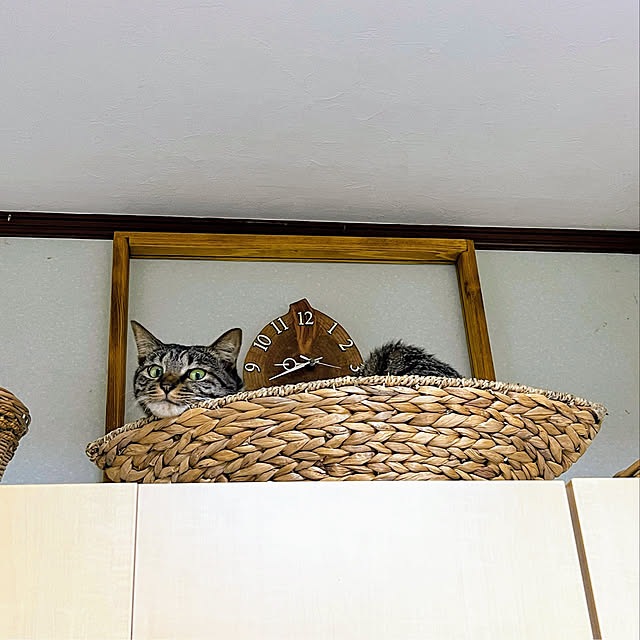 mohhaさんの実例写真