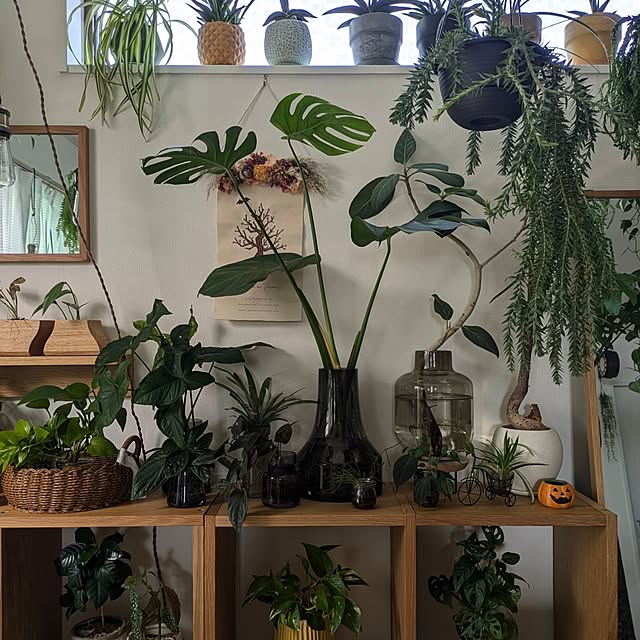 ayamameさんの実例写真