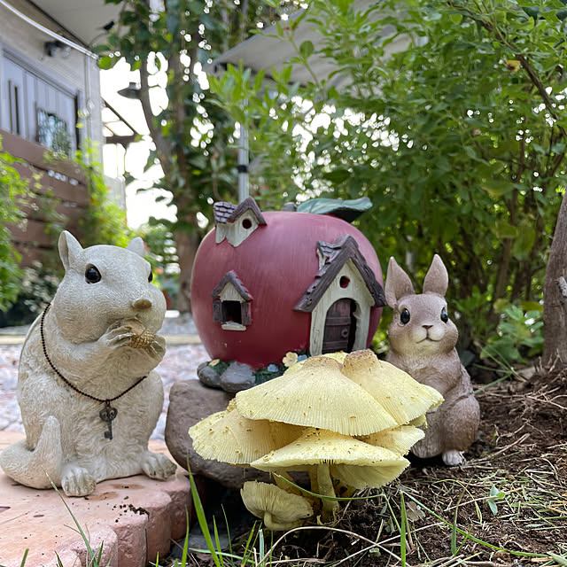 ronronさんの部屋
