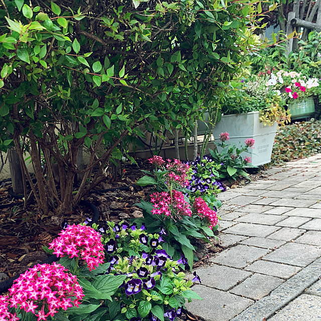 yukarin-gardenさんの実例写真