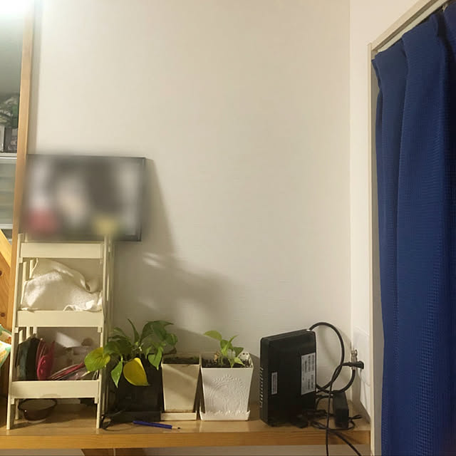 marukoさんの実例写真