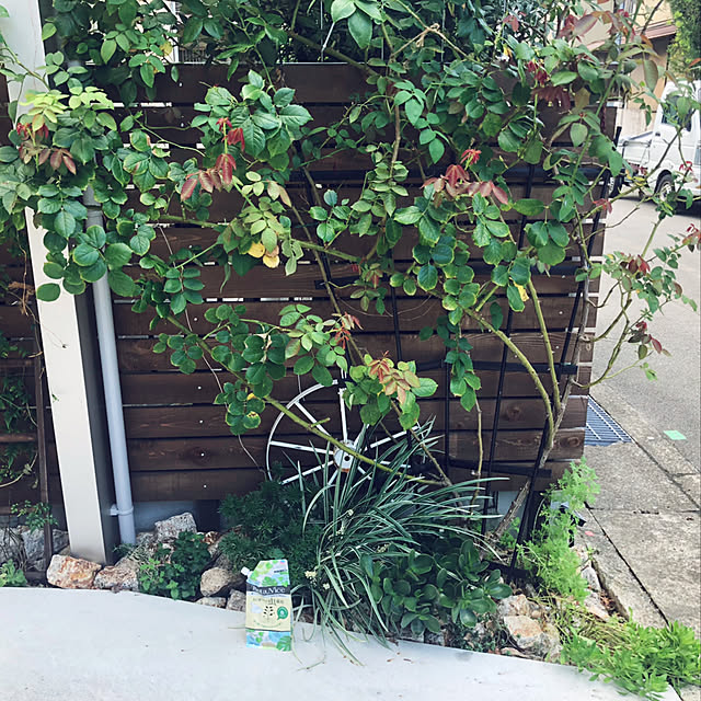 makiさんの実例写真