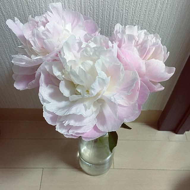Lillyさんの実例写真