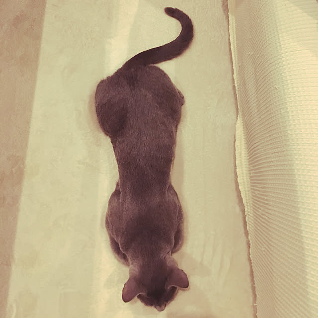 niko-25さんの実例写真