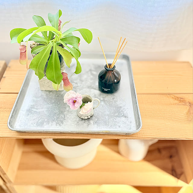 usaco.さんの実例写真