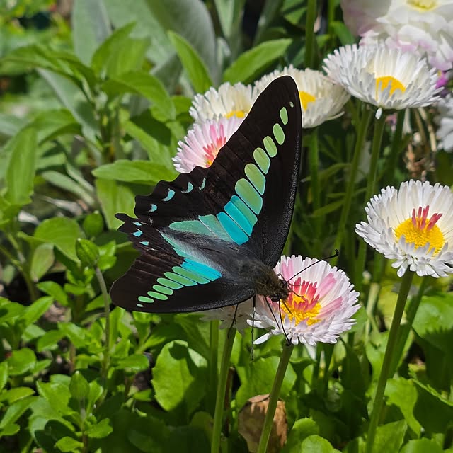 min_nimさんの部屋