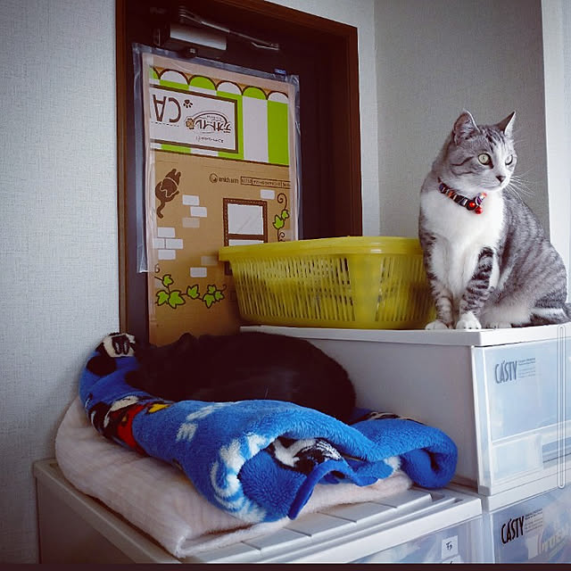 mntcさんの実例写真