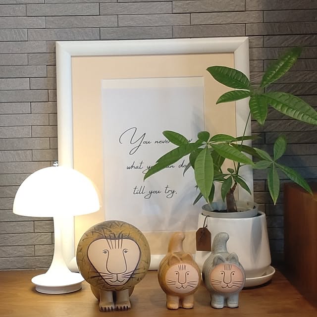 tan5さんのお部屋の写真