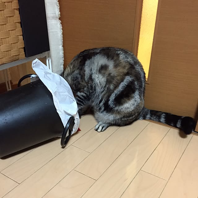 haruさんの実例写真