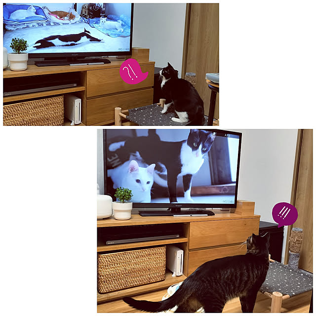 hihaさんの実例写真