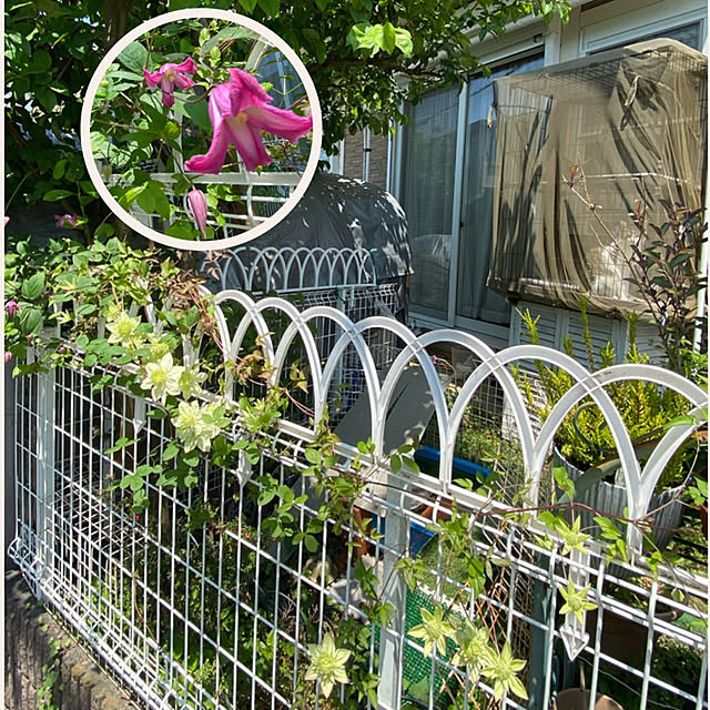 Lufuさんの実例写真