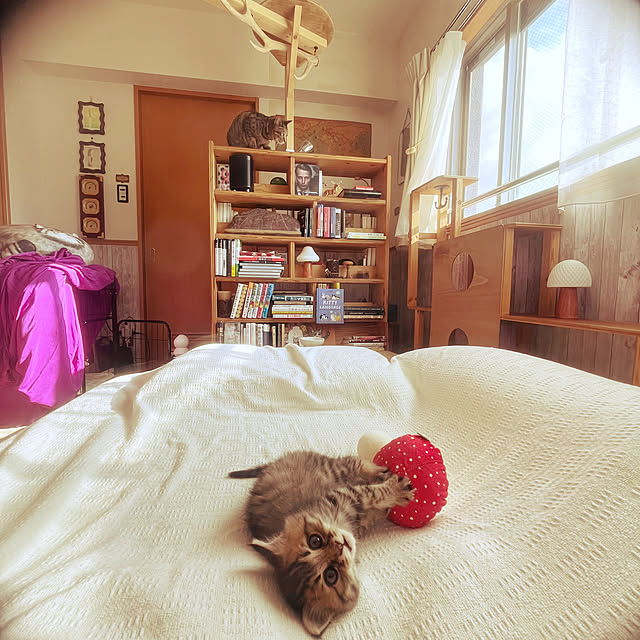 Mさんの実例写真