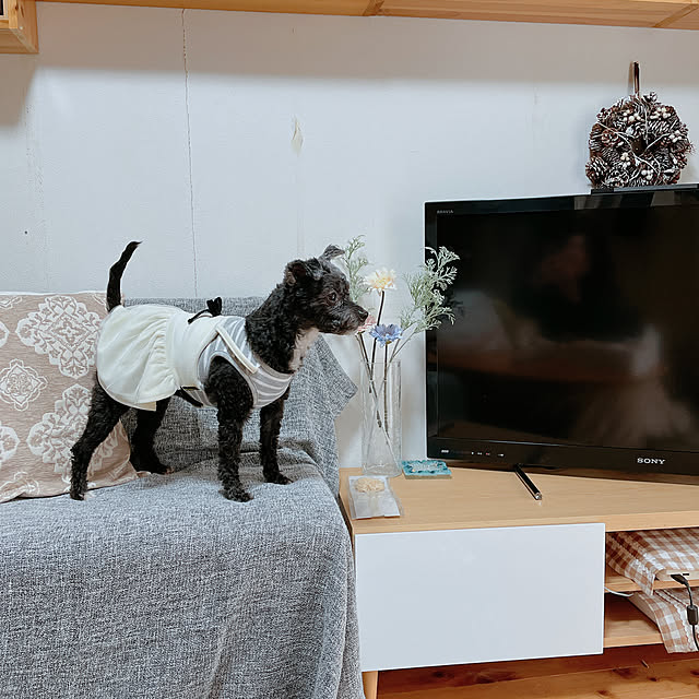 Chipさんの実例写真