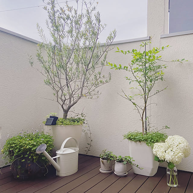akoehonさんの実例写真