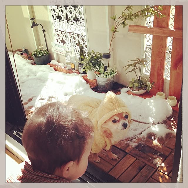 maamiさんの実例写真