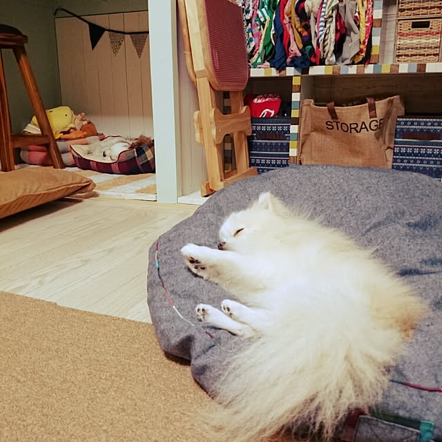 yukaさんの実例写真