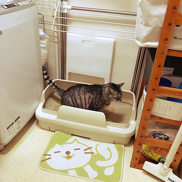 junsuさんの実例写真