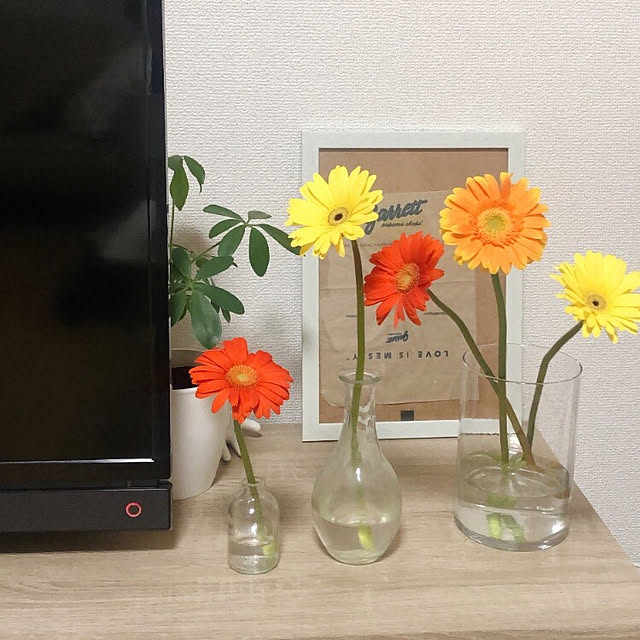 an5さんの実例写真