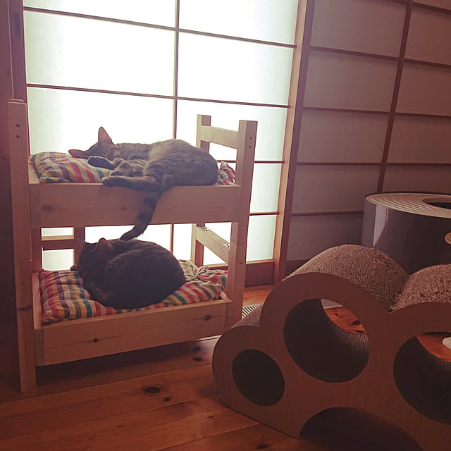 ayabooohさんの実例写真