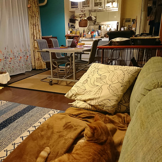 okyosan101さんの実例写真