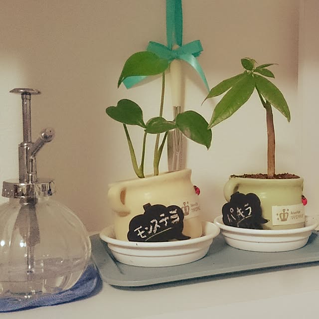 soramameさんの実例写真