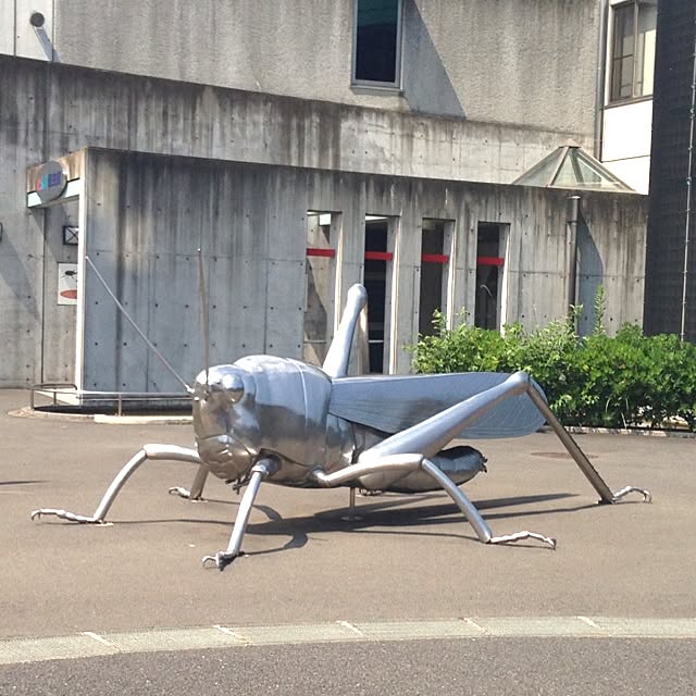 komichiさんの実例写真