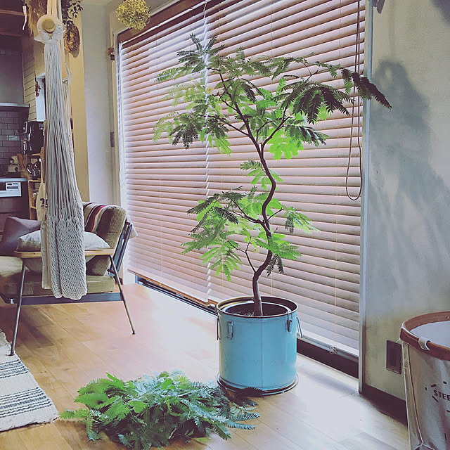 ymさんの実例写真