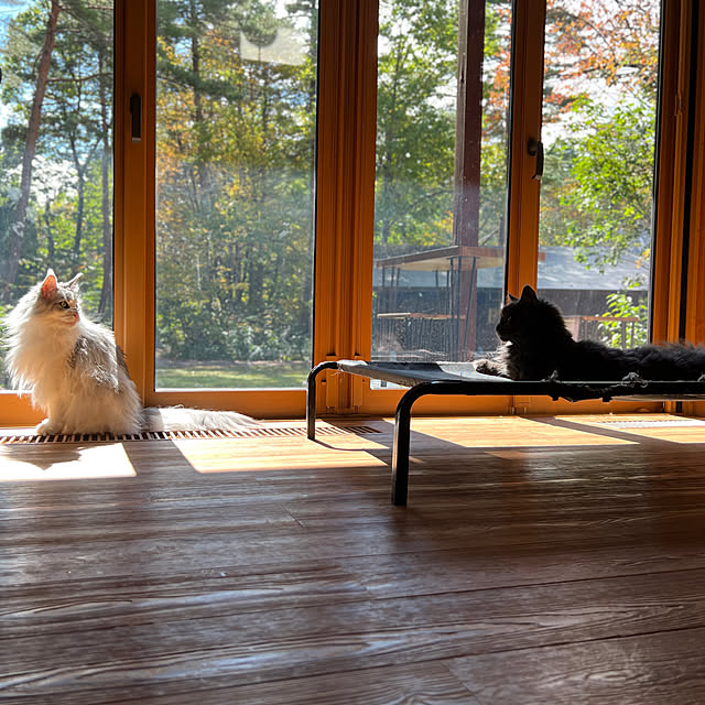 Kikko.さんの実例写真