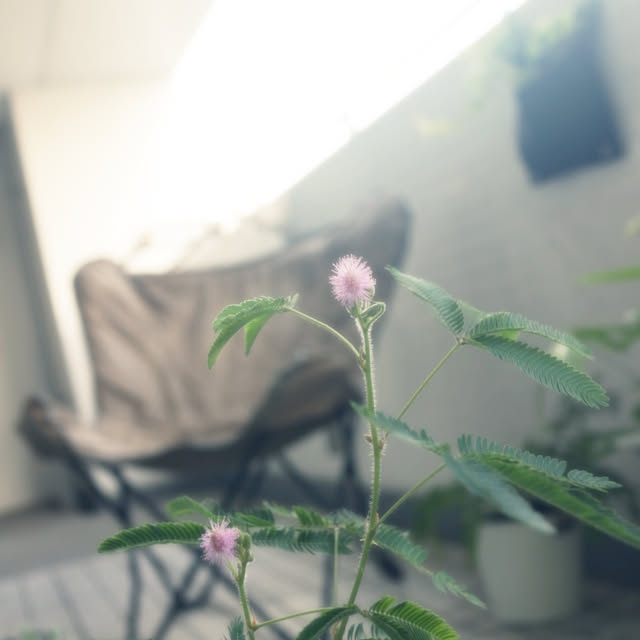 hanacocoさんの実例写真