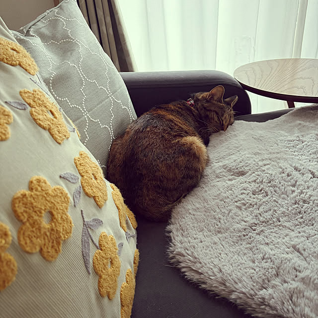 chiiさんのお部屋の写真