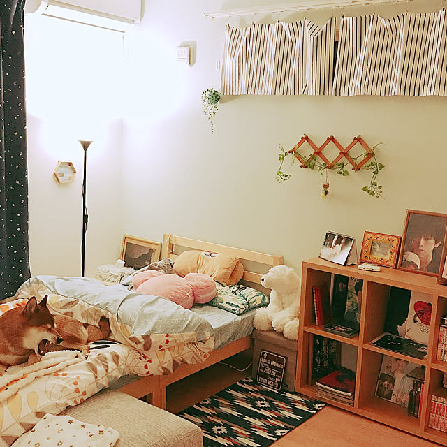 Soraさんの実例写真