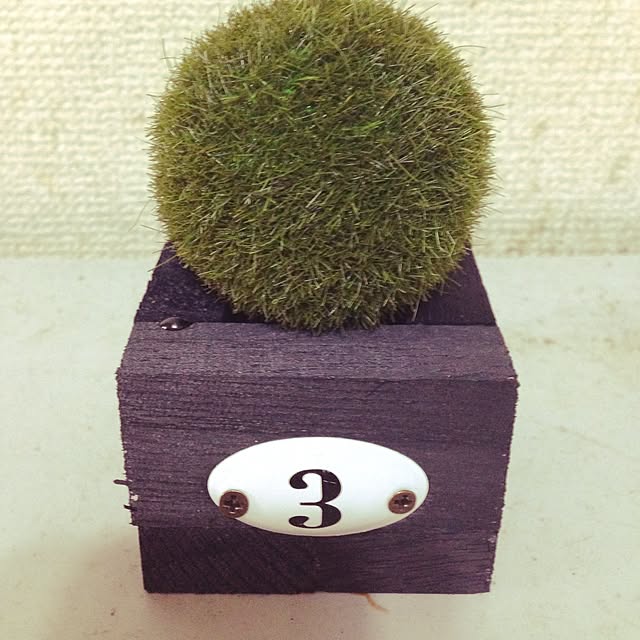 yumikichiさんの実例写真