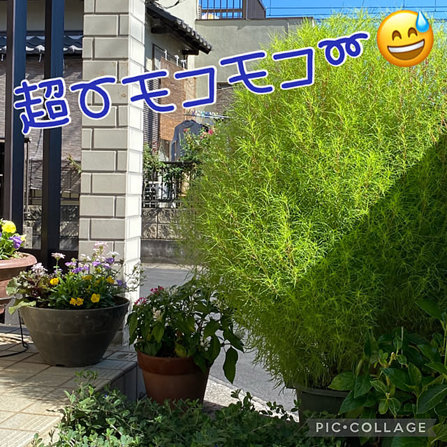 Smilkazuさんの部屋