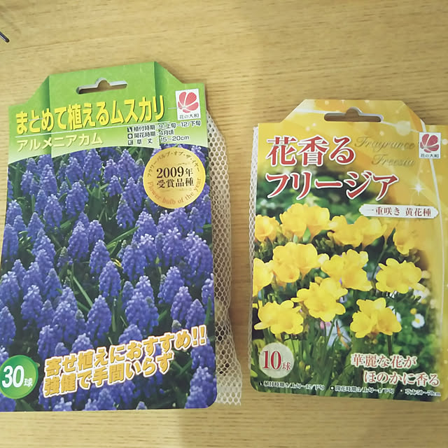 玄関/入り口/令和元年9月15日/いつも、ありがとうございます(^ー^)/宿根草が好き/好きなものに囲まれて暮らす...などのインテリア実例 - 2019-09-15 12:45:17