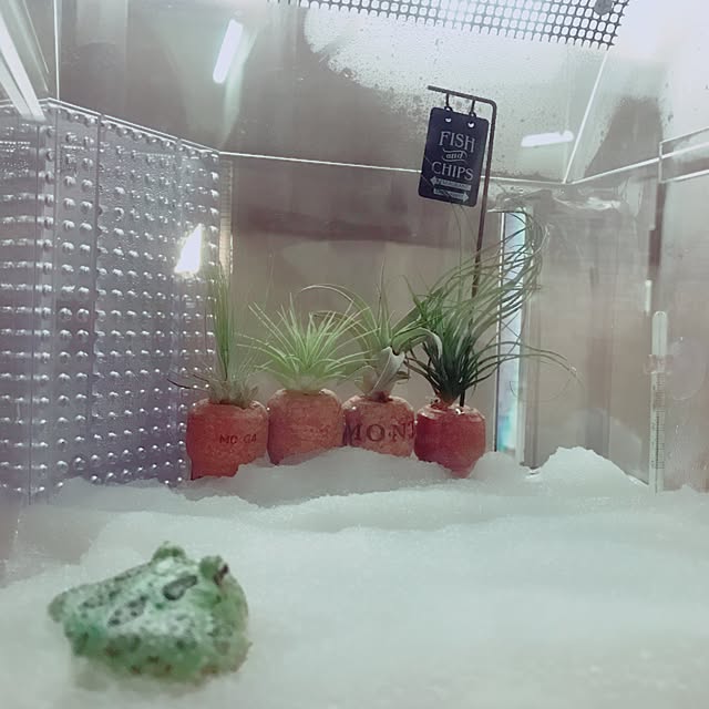 8eKANAさんの実例写真