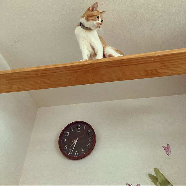 chakuron.iさんの実例写真