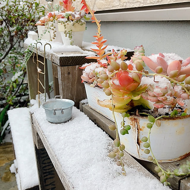 norikoko310さんの部屋